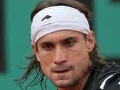 David Ferrer