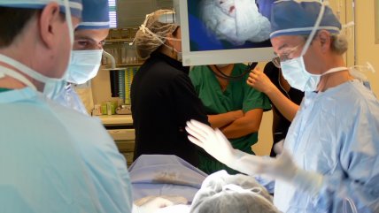 Hospital Van Buren y separación de gemelas: Brindamos a la familia un contacto directo con ellas