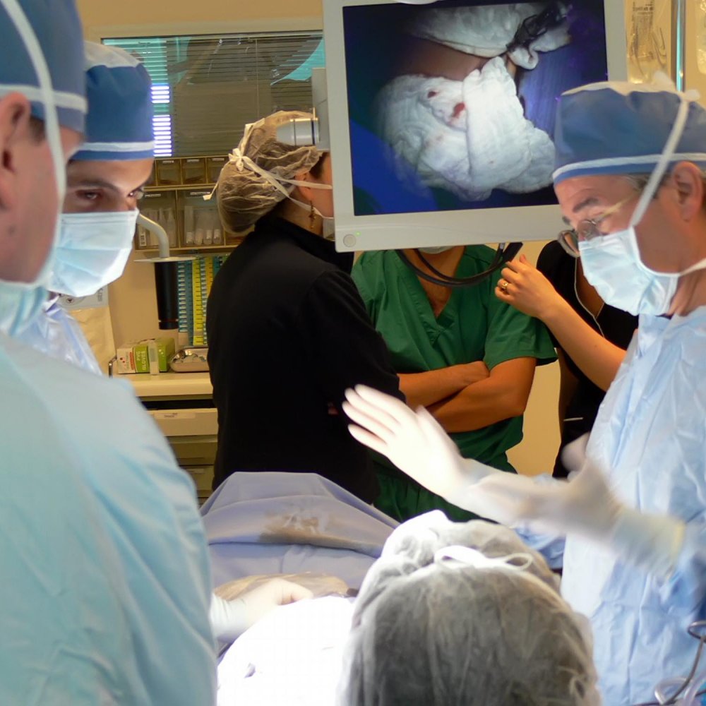 Hospital Van Buren realiza operación para separar a siamesas Hospital Van Buren realiza operación para separar a siamesas