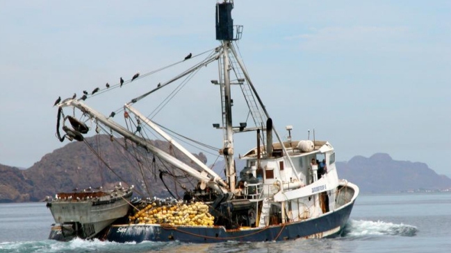 Ecuador apresó cinco barcos de pesca peruanos en sus aguas Ecuador apresó cinco barcos de pesca peruanos en sus aguas