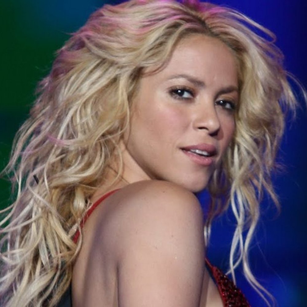 Shakira pidió que se desestime la demanda de De la Rúa Shakira pidió que se desestime la demanda de De la Rúa