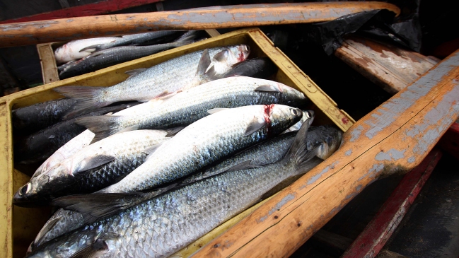 Embarcación peruana fue detenida en pesca ilegal en aguas ecuatorianas Embarcación peruana fue detenida en pesca ilegal en aguas ecuatorianas