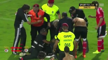 428px x 241px - Video] TÃ©cnico de Benfica peleÃ³ con policÃ­as y guardias para defender a un  hincha - Cooperativa.cl