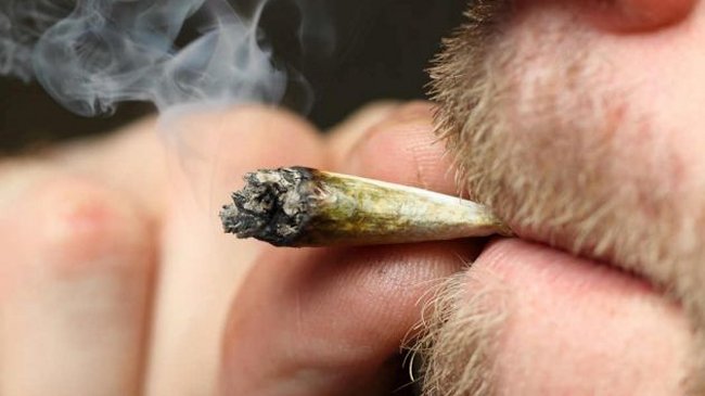 Así funcionará la legalización de la marihuana en Uruguay