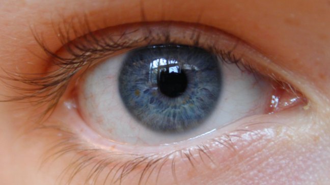 Una minúscula retina biónica restablecerá la vista a los ciegos Una minúscula retina biónica restablecerá la vista a los ciegos