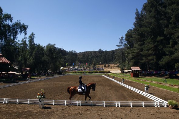Este martes se realizaron las pruebas de adiestramiento individual de equitación en los Juegos Sudamericanos de Santiago 2014. El brasileño Joao Victor Oliva se quedó con la medalla de oro.
Este martes se realizaron las pruebas de adiestramiento individual de equitación en los Juegos Sudamericanos de Santiago 2014. El brasileño Joao Victor Oliva se quedó con la medalla de oro.