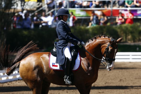 Este martes se realizaron las pruebas de adiestramiento individual de equitación en los Juegos Sudamericanos de Santiago 2014. El brasileño Joao Victor Oliva se quedó con la medalla de oro.
Este martes se realizaron las pruebas de adiestramiento individual de equitación en los Juegos Sudamericanos de Santiago 2014. El brasileño Joao Victor Oliva se quedó con la medalla de oro.