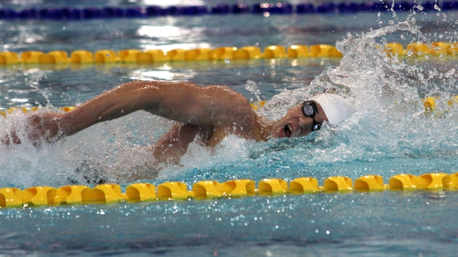 La natación chilena tendrá este fin de semana su Campeonato Nacional La natación chilena tendrá este fin de semana su Campeonato Nacional