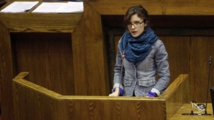   Cámara rindió homenaje a Salvador Allende 