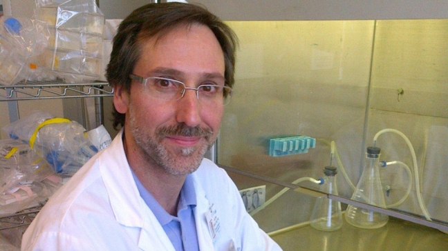 La inmunoterapia pronto será un tratamiento estándar contra el cáncer La inmunoterapia pronto será un tratamiento estándar contra el cáncer