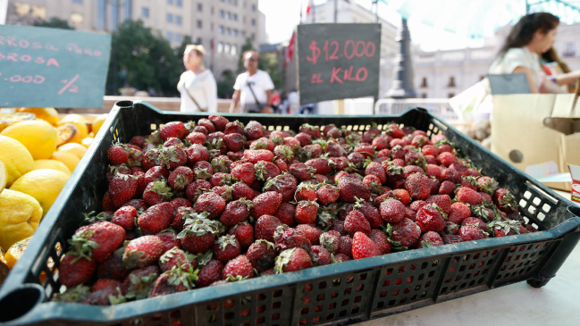 Chile se mantiene como líder en la exportación de frutas del hemisferio sur