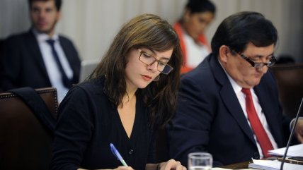 Partió discusión del proyecto de carrera docente en Comisión de la Cámara