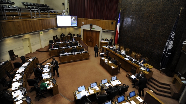 Senado despachó a ley pago completo de postnatal a trabajadoras públicas