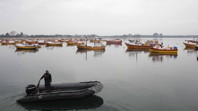 Científicos descartaron que vertimiento de salmones haya causado la marea roja