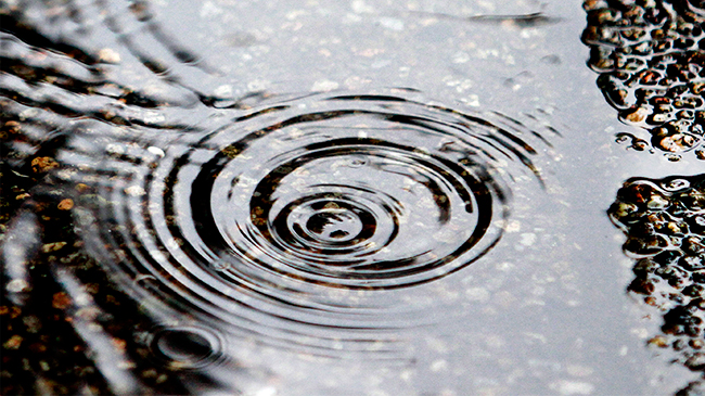 Sistema frontal traerá fuertes vientos y lluvia en la zona norte Sistema frontal traerá fuertes vientos y lluvia en la zona norte