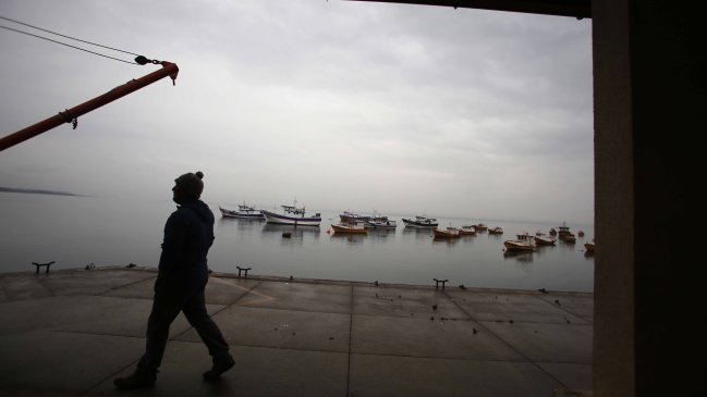 Greenpeace apunta a relación entre vertimiento de salmones y marea roja en Chiloé