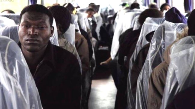 Francia: Buses que evacuaron a refugiados tenían asientos cubiertos con plástico Francia: Buses que evacuaron a refugiados tenían asientos cubiertos con plástico