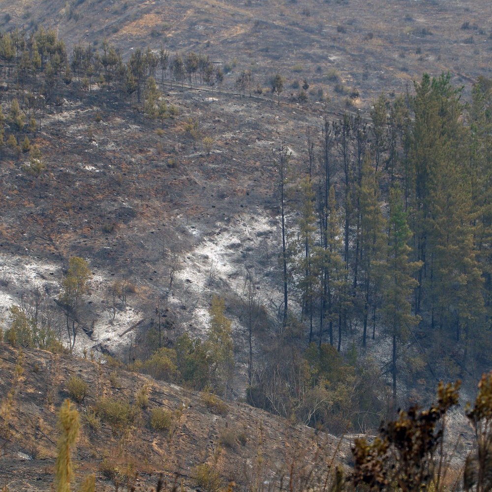 Fiscalía pidió formalizar a ejecutivo de CGE por incendio en Pumanque