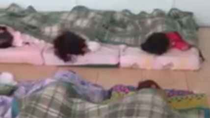 Captan plaga de ratones en jardín infantil de Peñalolén    Captan plaga de ratones en jardín infantil de Peñalolén