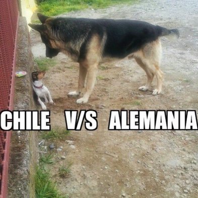 Este jueves, la selección chilena igualó 1-1 con Alemania por Copa Confederaciones y los fanáticos de la Roja se tomaron las redes sociales para comentar el duelo con sus memes. Este jueves, la selección chilena igualó 1-1 con Alemania por Copa Confederaciones y los fanáticos de la Roja se tomaron las redes sociales para comentar el duelo con sus memes.