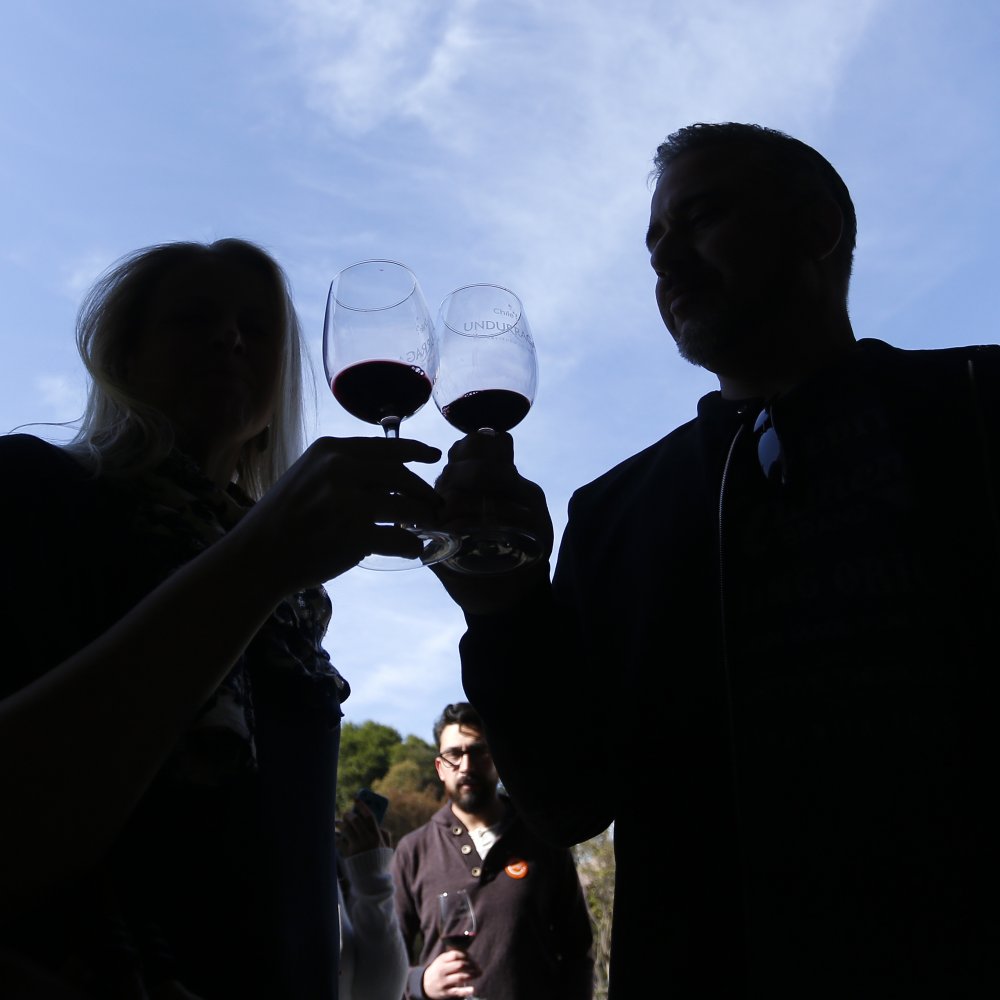 Prestigiosa revista inglesa escogió los mejores vinos carmenere chilenos Prestigiosa revista inglesa escogió los mejores vinos carmenere chilenos