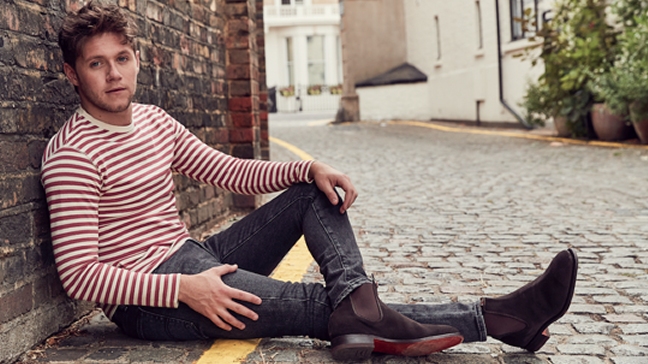 El One Direction Niall Horan confirmó show en Chile El One Direction Niall Horan confirmó show en Chile