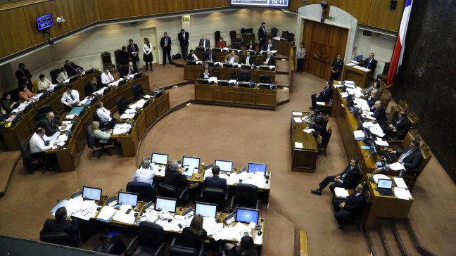 Jornada clave para proyectos sobre apoyo a infancia en el Senado