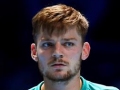 David Goffin