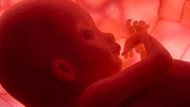 Tribunal Supremo alemán determinó que transexual que donó semen es 