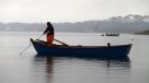 Chiloé: Marea roja \