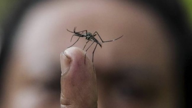Lactante de dos meses es la tercera víctima del dengue este año en Paraguay