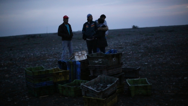 Chiloé: Acusan que bonos por marea roja para pescadores afectados no son suficientes