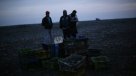 Chiloé: Acusan que bonos por marea roja para pescadores afectados no son suficientes