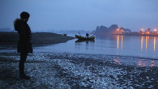 Chiloé: Pescador artesanal dice que bono del Gobierno 
