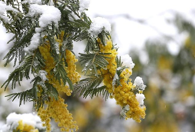 Imagen foto_00000016