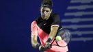 Del Potro venció a Ferrer y chocará con Thiem en Acapulco