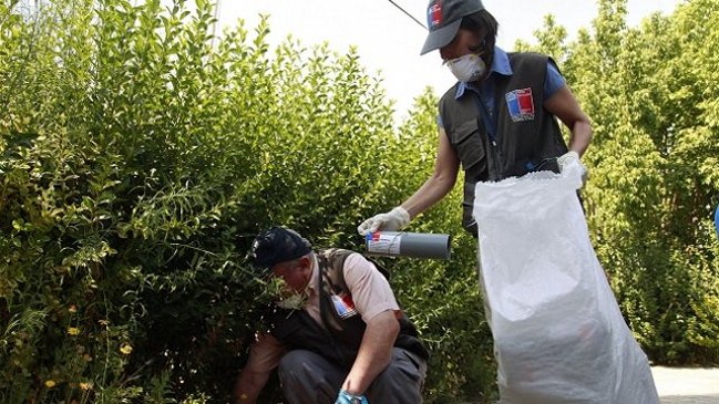 Joven permanece grave en Clínica Las Condes tras contraer virus hanta