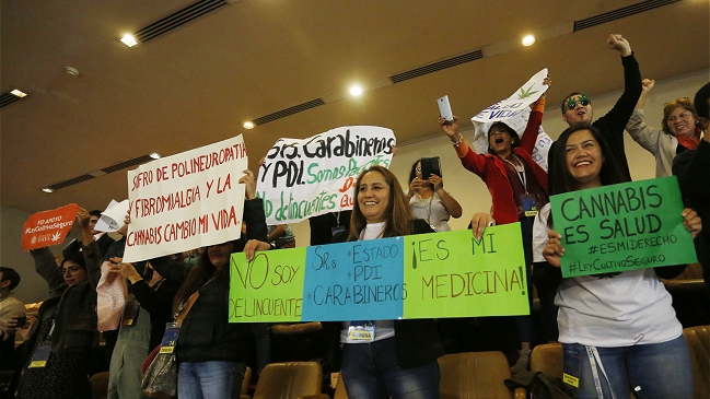 Cámara aprobó en general proyecto que regula el uso medicinal del cannabis Cámara aprobó en general proyecto que regula el uso medicinal del cannabis