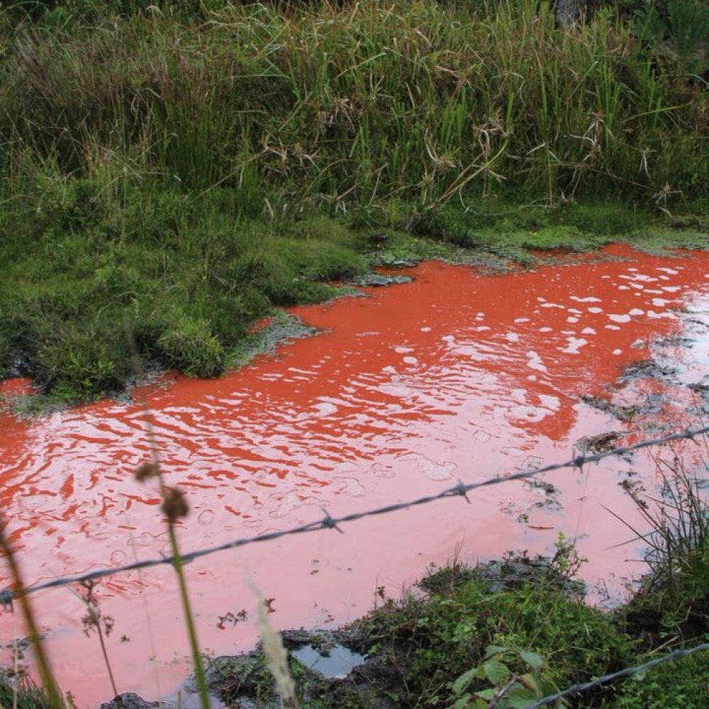 Derrame de pinturas en río de Chiloé causa grave daño ecológico Derrame de pinturas en río de Chiloé causa grave daño ecológico