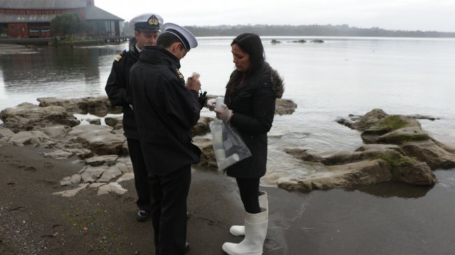 Frutillar: Extraña alga apareció en aguas del lago Llanquihue