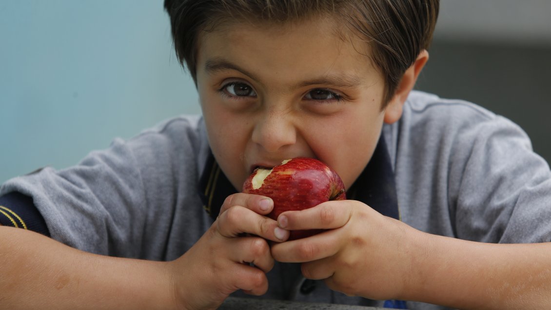 Los Ríos: Revelan cifras de sobrepeso en escolares Los Ríos: Revelan cifras de sobrepeso en escolares