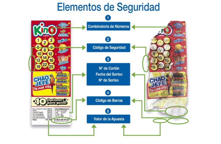Imagen foto_00000015
