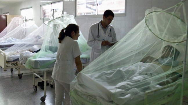 OMS: Venezuela registra el mayor incremento de casos de malaria en el mundo OMS: Venezuela registra el mayor incremento de casos de malaria en el mundo