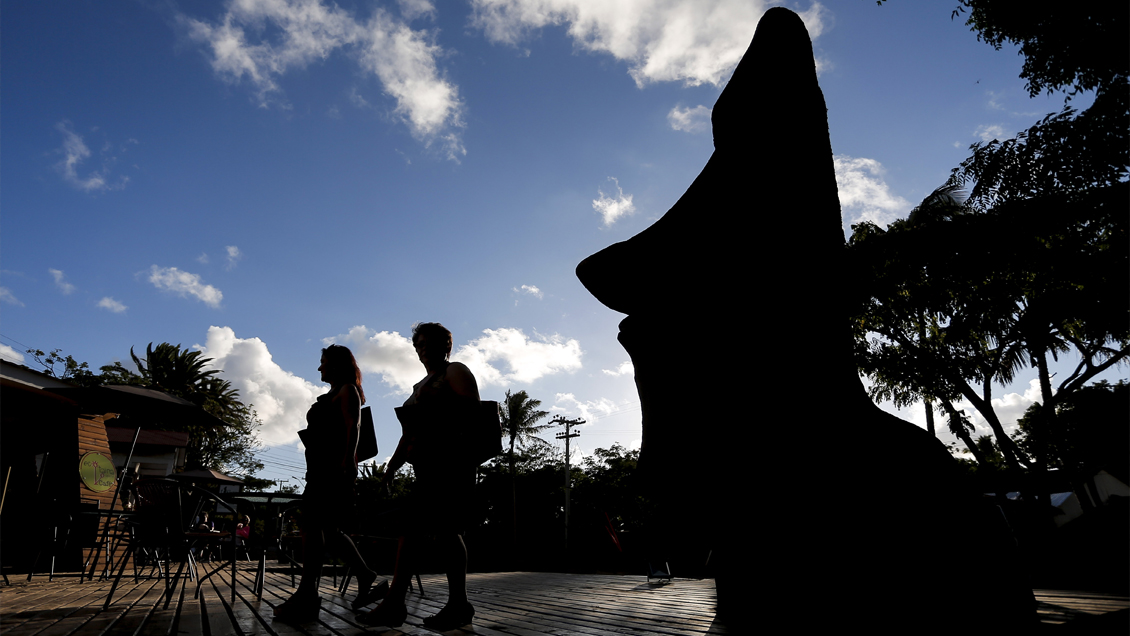 Minsal decretó alerta sanitaria por brote de dengue en Rapa Nui Minsal decretó alerta sanitaria por brote de dengue en Rapa Nui