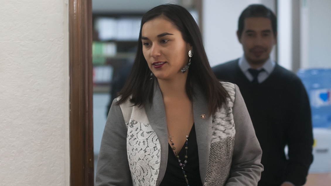 Izkia Siches: Si el Gobierno piensa cambiar al ministro Santelices que lo haga a la brevedad