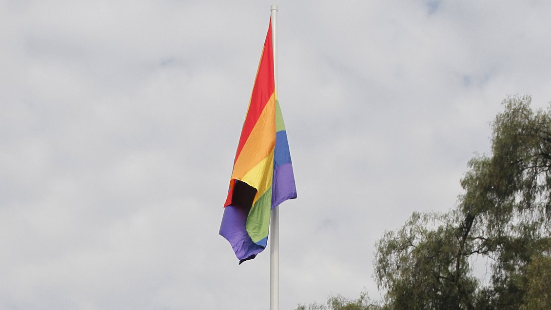 Municipio de Vallenar se unió a campaña contra la homofobia Municipio de Vallenar se unió a campaña contra la homofobia