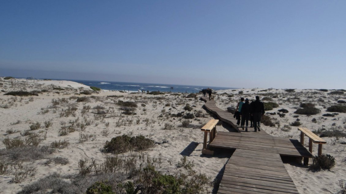 Huasco: Cerrarán hasta junio camping del Parque Nacional Llanos de Challe Huasco: Cerrarán hasta junio camping del Parque Nacional Llanos de Challe