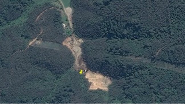 Conaf constató tala de bosque exótico en cantera de Coronel Conaf constató tala de bosque exótico en cantera de Coronel