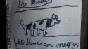 El tierno aviso de un niño para encontrar a su gatito en Concepción que se volvió viral