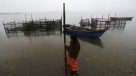 Reflotarán nave salmonera con peces muertos sumergida desde el año pasado en Chiloé